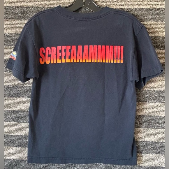 Vintage Y2K Disneyland California Screamin’ Roller Coaster Ride T-Shirt Large - Picture 4 of 7